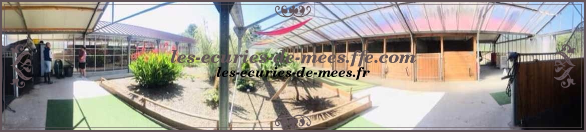 les-ecuries-de-mees.ffe.com
